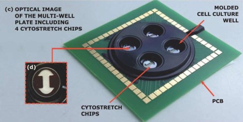 lab-on-chip-biosensor