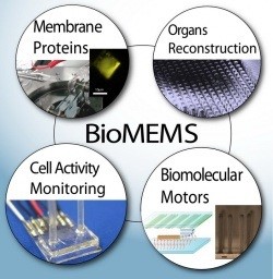 biomems